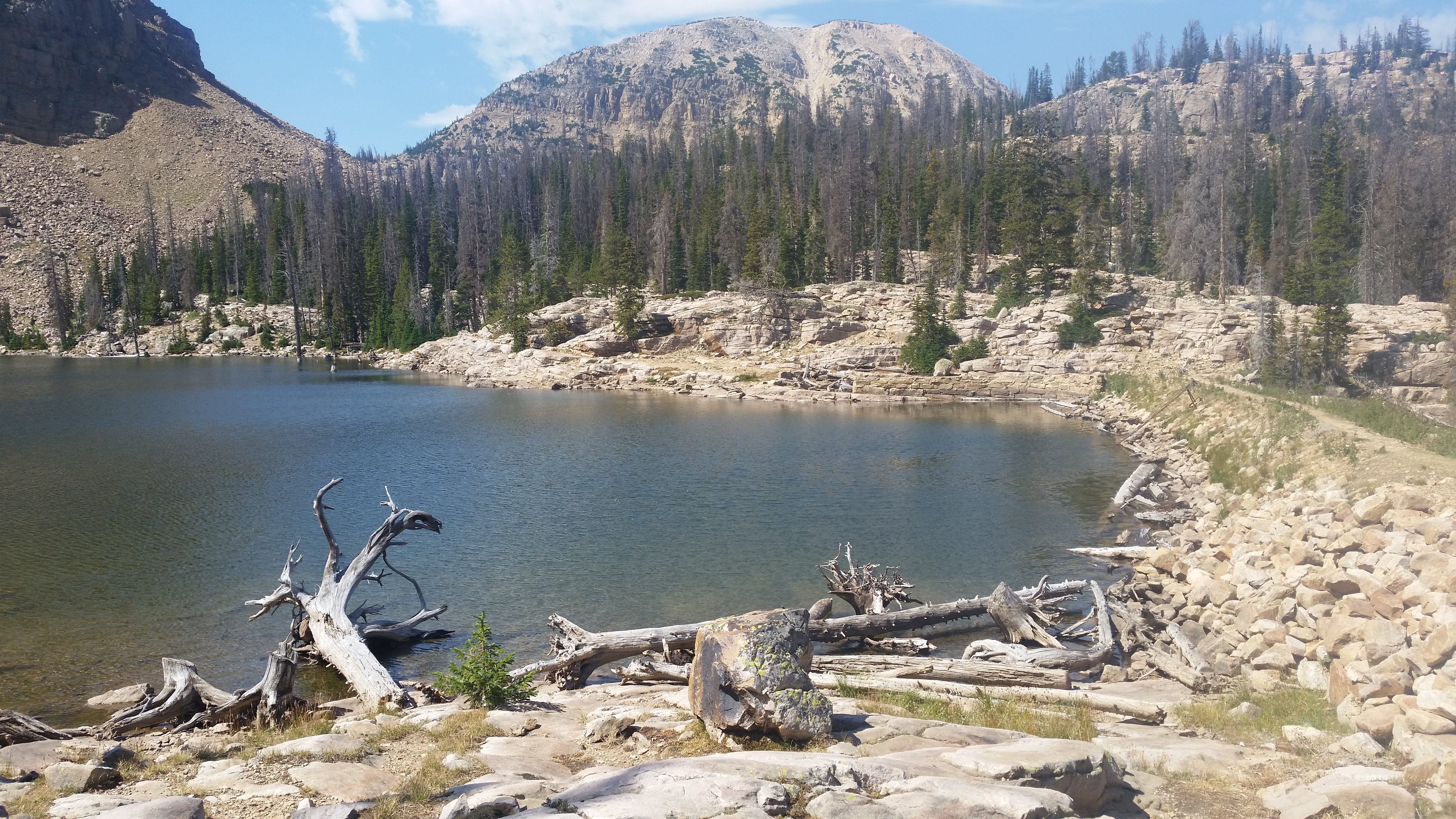 Snowbird – Utah · 2016